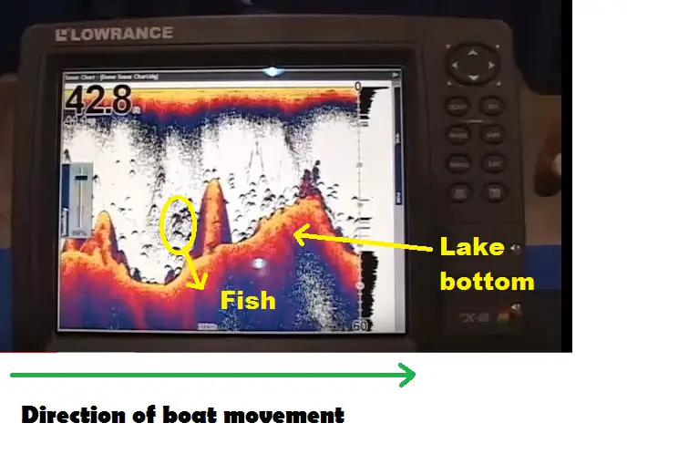 understanding sonar images 
